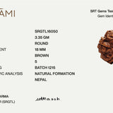 5 Mukhi Rudraksha | Govt. Lab Certified, Nepal Origin