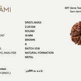 8 Mukhi Rudraksha | Govt. Lab Certified, Nepal Origin
