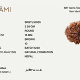 10 Mukhi Rudraksha | Govt. Lab Certified, Nepal Origin