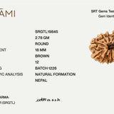 12 Mukhi Rudraksha | Govt. Lab Certified, Nepal Origin