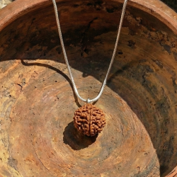 Nepali Rudraksha with Chain