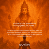 3 Mukhi Rudraksha (Certified, Nepal Origin)