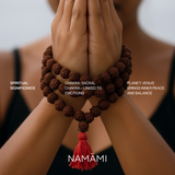 6 Mukhi Rudraksha | Certified, Nepal Origin