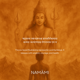 6 Mukhi Rudraksha | Certified, Nepal Origin