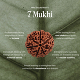 7 Mukhi Rudraksha | Certified, Nepal Origin