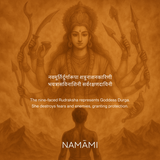 9 Mukhi Rudraksha | Certified, Nepal Origin