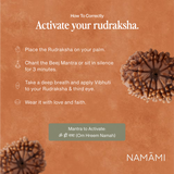 10 Mukhi Rudraksha | Certified, Nepal Origin