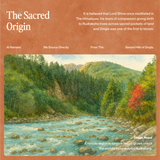 14 Mukhi Rudraksha | Certified, Nepal Origin