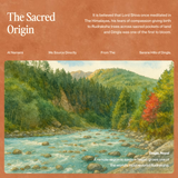 Ganesh Mukhi Rudraksha | Nepal Origin, Lab Certified