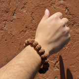 7 Mukhi Rudraksha Bracelet | 12mm