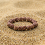 5 Mukhi Rudraksha Bracelet | 12mm