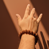 5 Mukhi Rudraksha Bracelet | 12mm