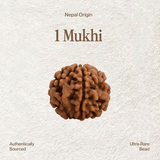 1 Mukhi Rudraksha | Certified