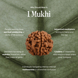 1 Mukhi Rudraksha | Certified