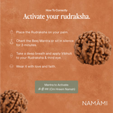 1 Mukhi Rudraksha | Certified