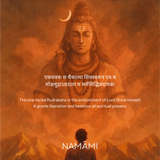 1 Mukhi Rudraksha | Certified