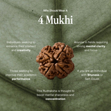 4 Mukhi Rudraksha | Certified, Nepal Origin