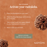 5 Mukhi Rudraksha | Certified, Nepal Origin