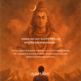 5 Mukhi Rudraksha | Certified, Nepal Origin