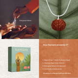 7 Mukhi Rudraksha | Certified, Nepal Origin