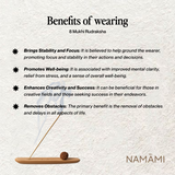 8 Mukhi Rudraksha | Certified, Nepal Origin