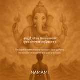 8 Mukhi Rudraksha | Certified, Nepal Origin